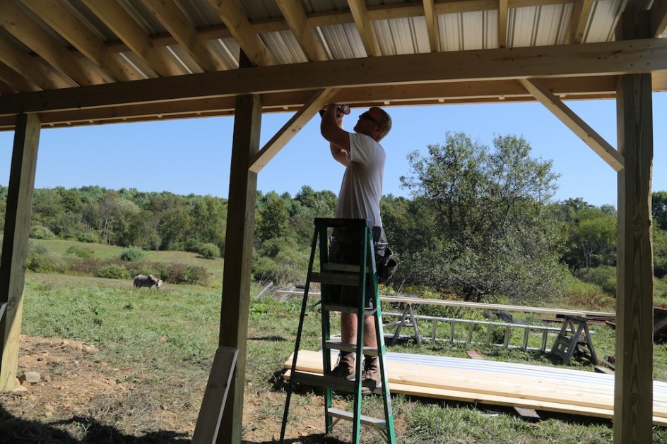 pole barn progress - bedlam farm