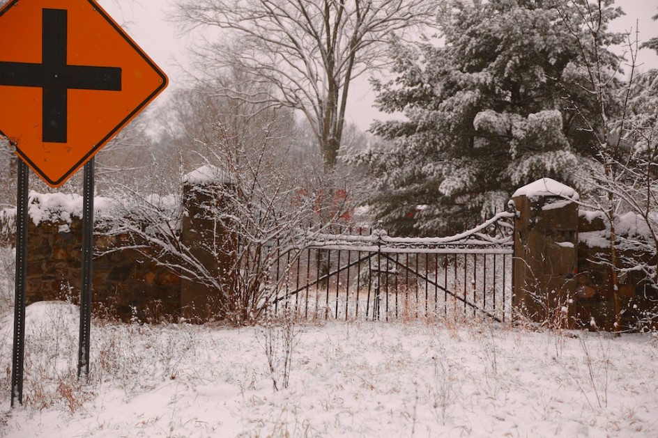 Winter Pasture, Revealed