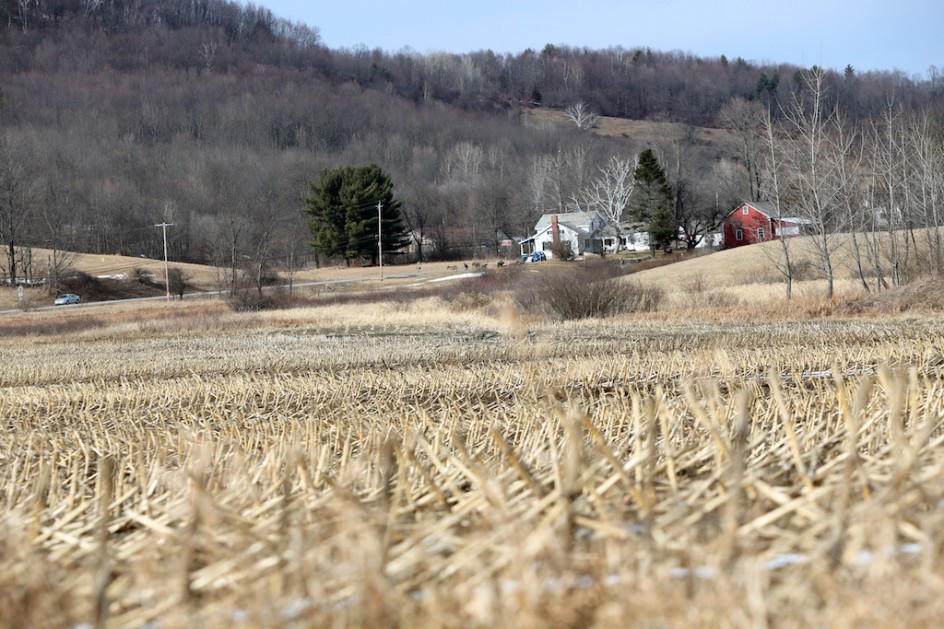 New Bedlam Farm