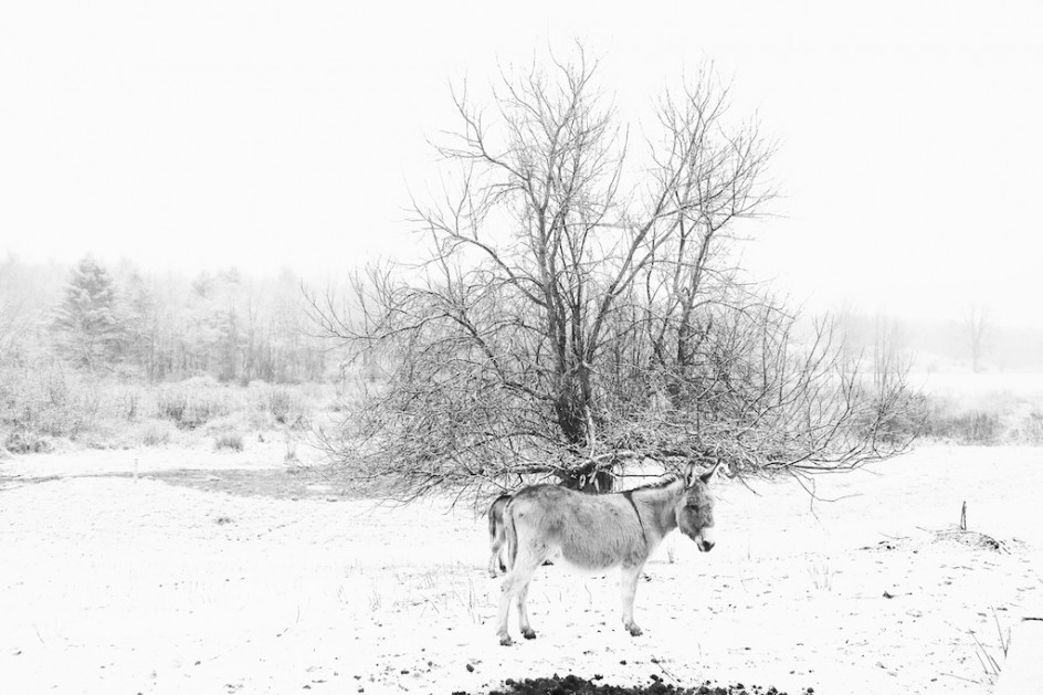 Simon In The Snow
