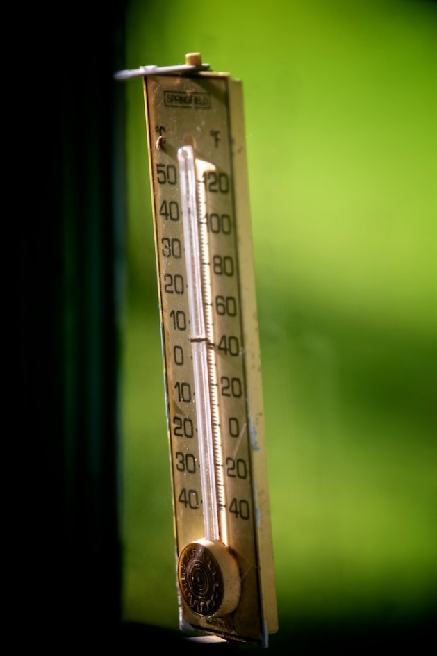 Florence's Thermometer