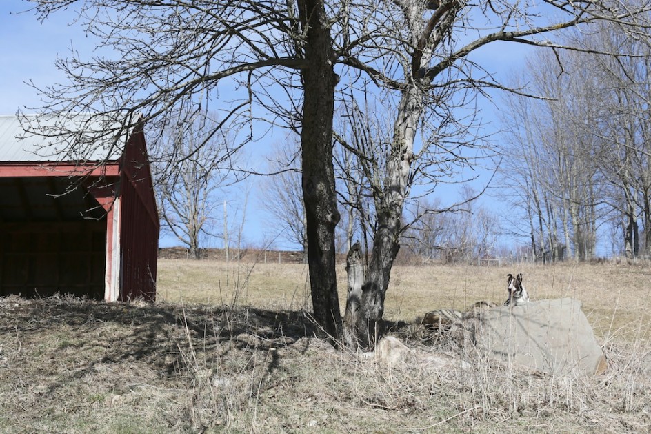 Memories Of Bedlam: The Pole Barn