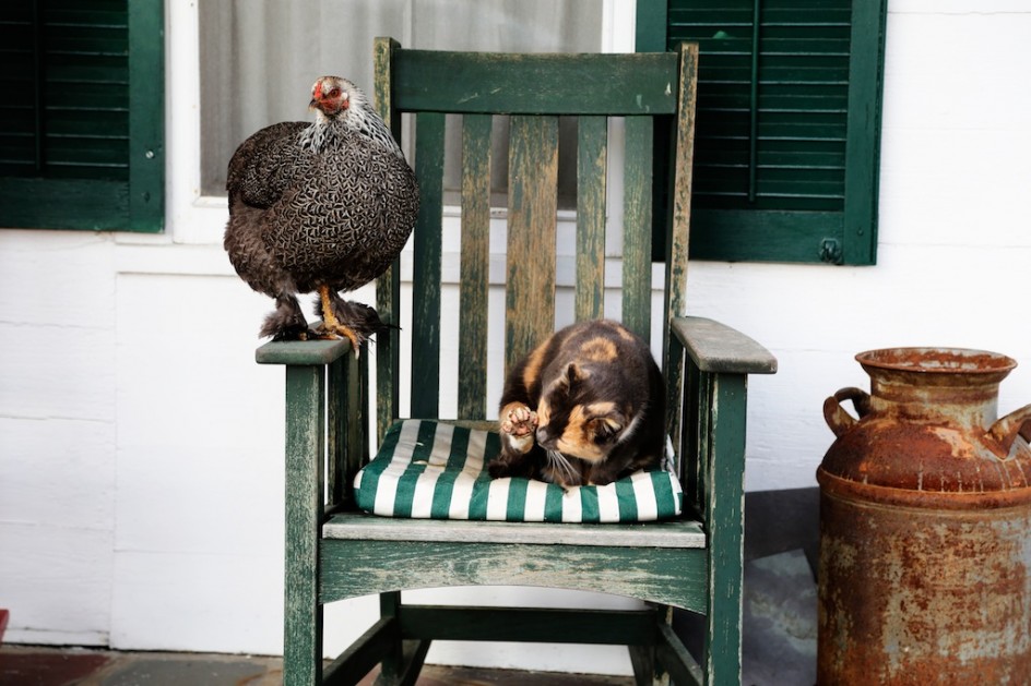 On The Porch