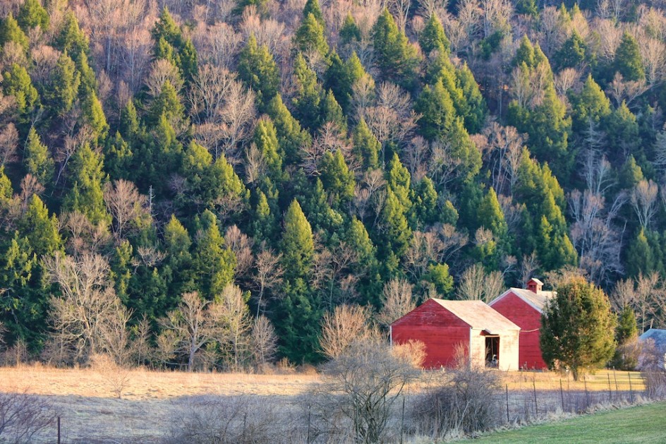 Barn In Spring