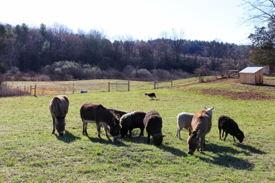 Thanks, April. No More Hay