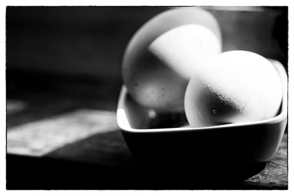Daily Eggs