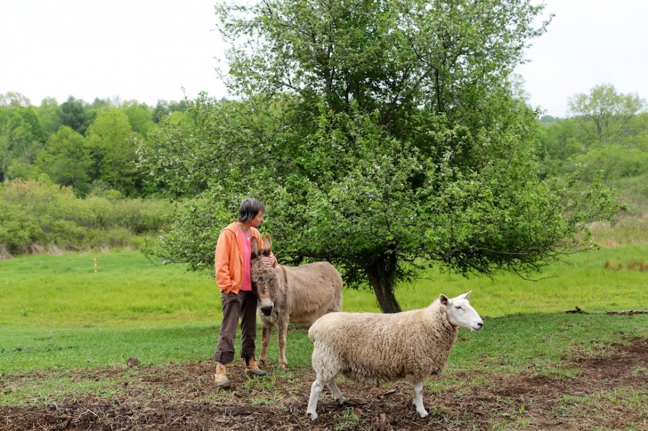  Big Farm Day