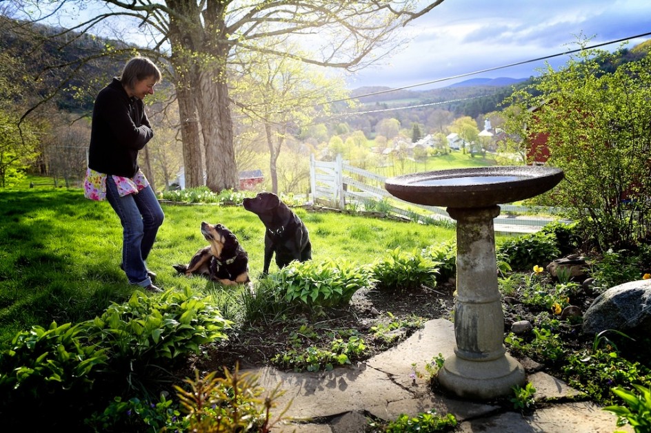 Izzy's Grave