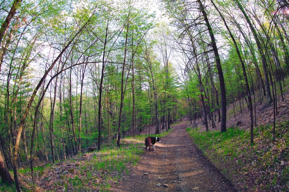 On The Path