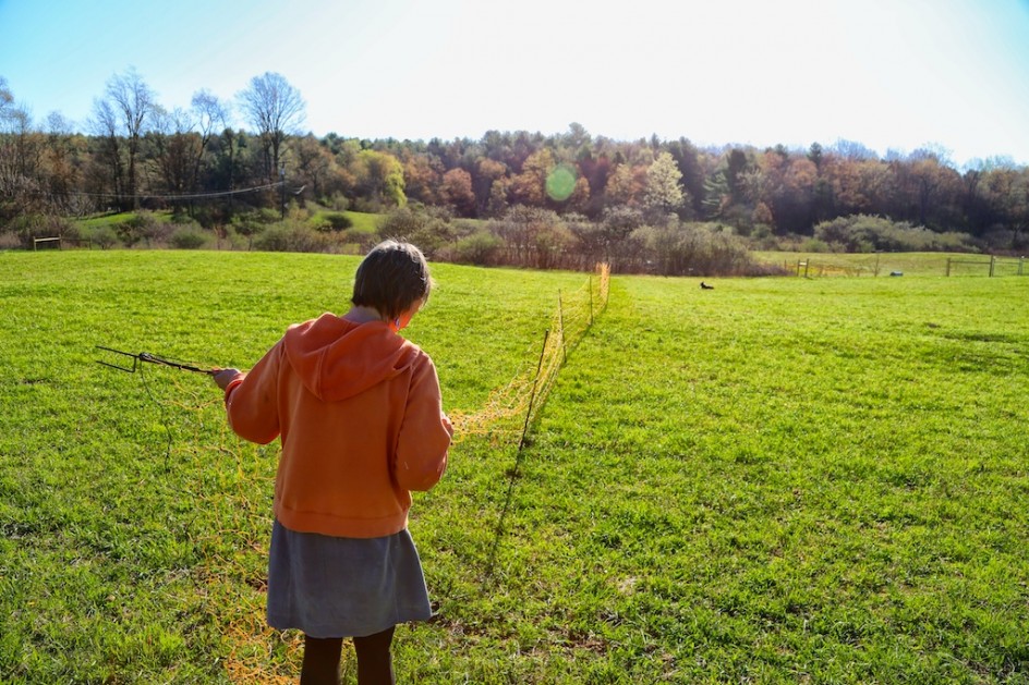 Rotational Grazing