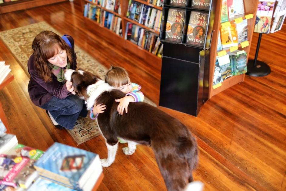 Bookstore Dog. Bedlam Farm Open House