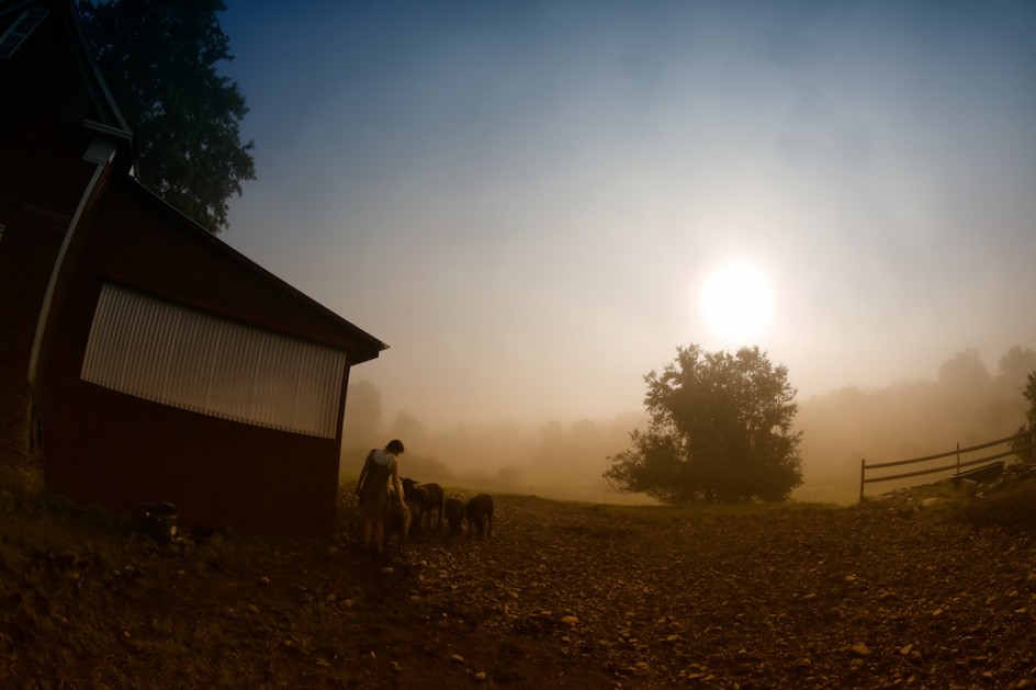Sunrise, Bedlam Farm