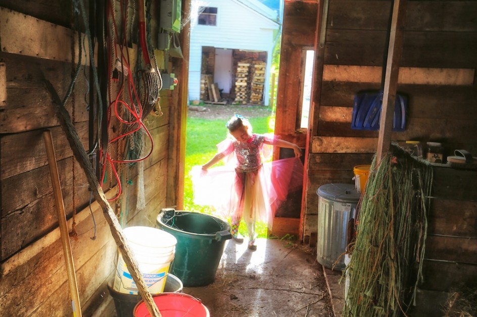Bedlam Farm Barn Fairy