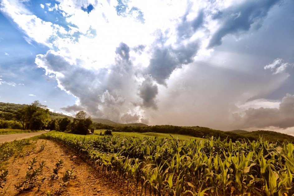 Chasing Thunderstorms