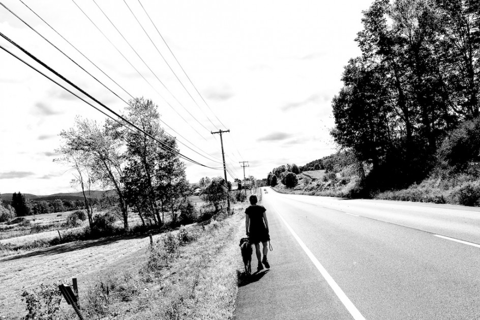 Walking Frieda On The Highway