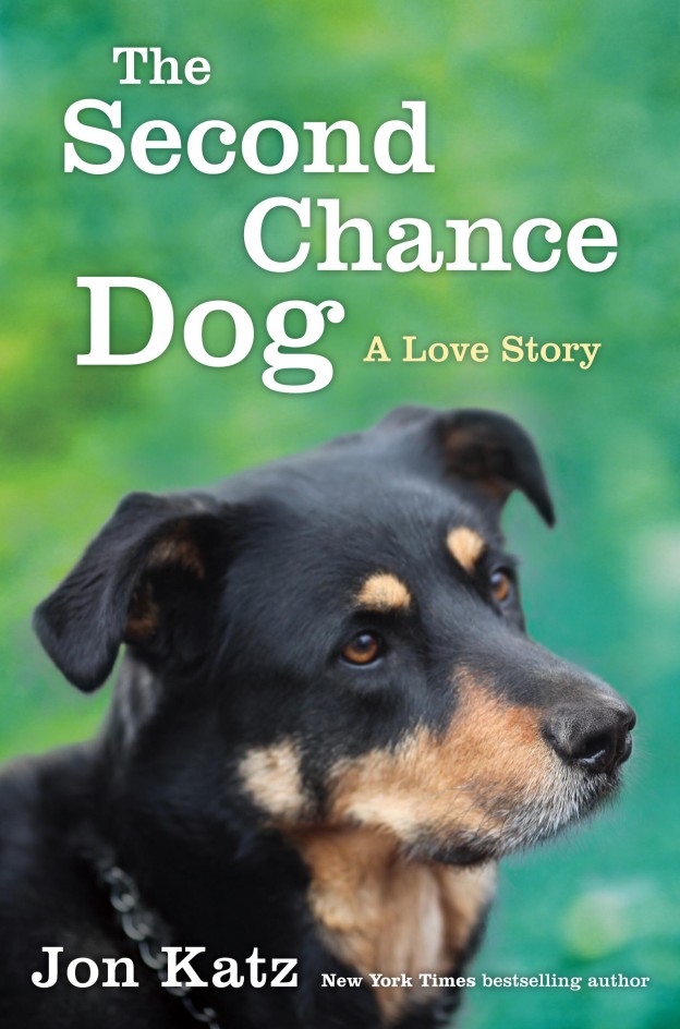 Here Comes "Second Chance Dog"
