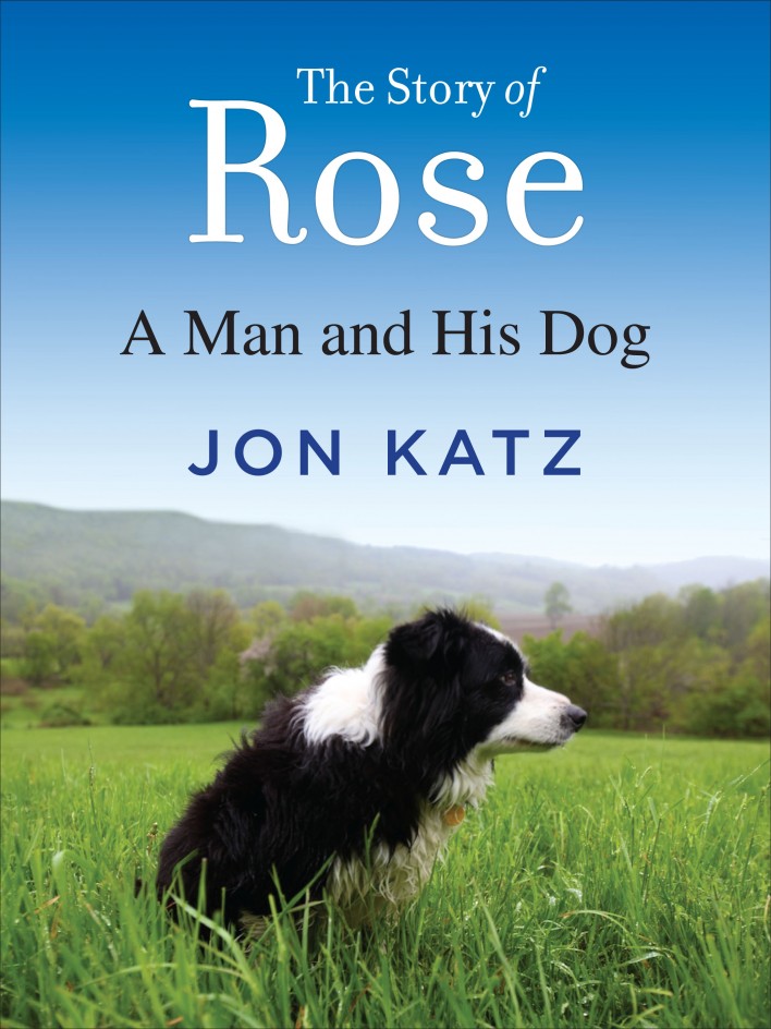 Story Of Rose: Three Bestsellers