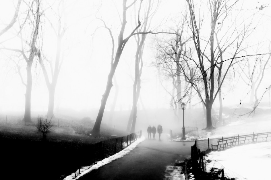 Central Park Mist