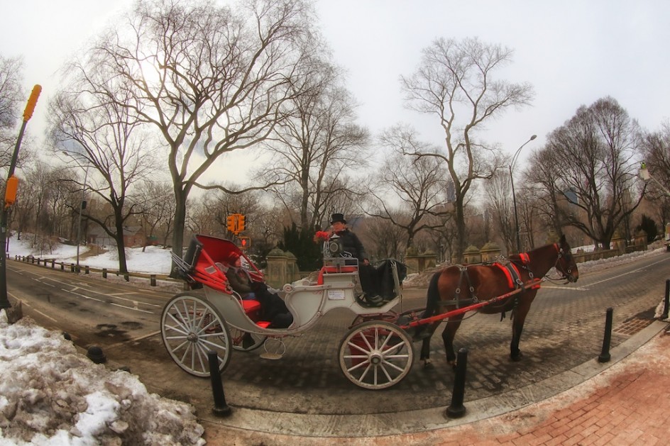 Carriage Ride