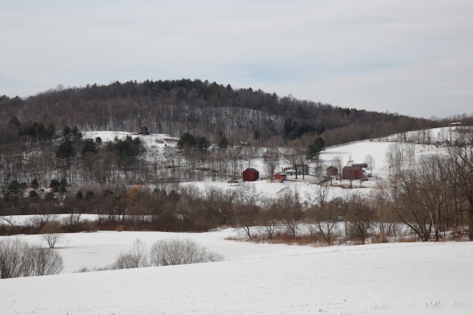 The First Bedlam Farm