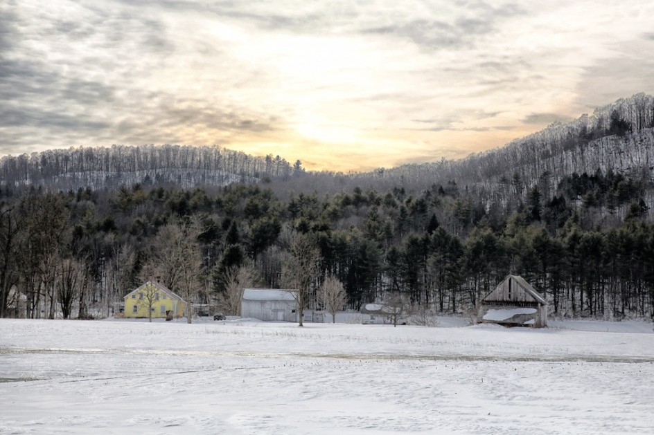 The Winter Pasture Says Farewell