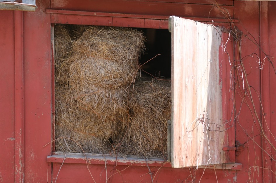 Hay Window