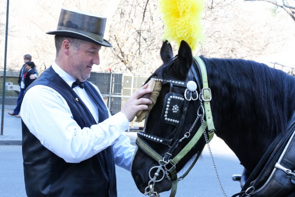 In Search Of The Carriage Horse People