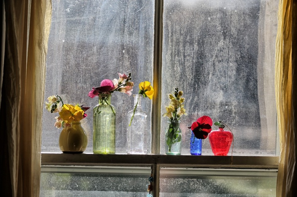 Curating The Windowsill Gallery