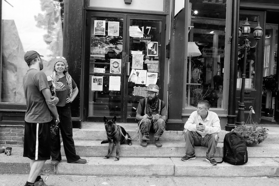 Dogs Of Brattleboro