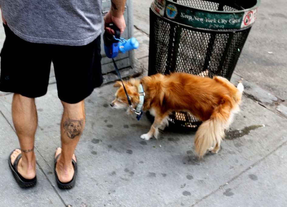Man, Dog and Dog Tattoo