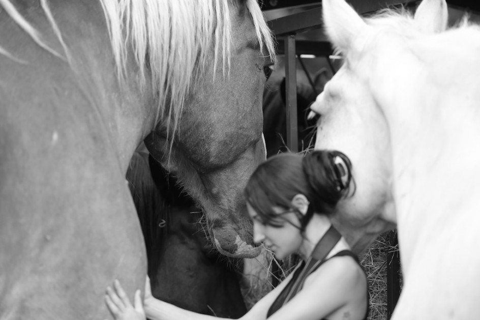 The Love Of Horses
