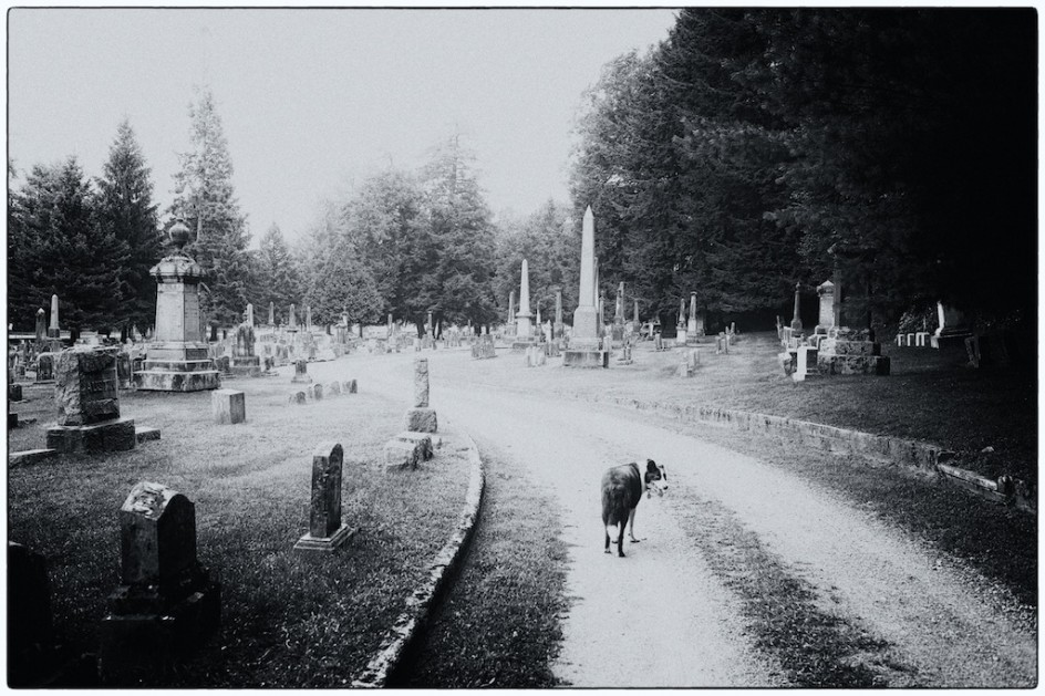 The Woodlands Cemetery