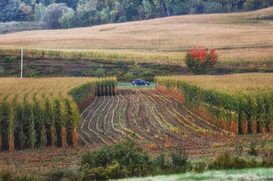 Fall Rushing On