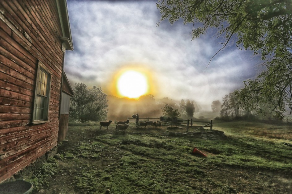 Sunrise, Bedlam Farm