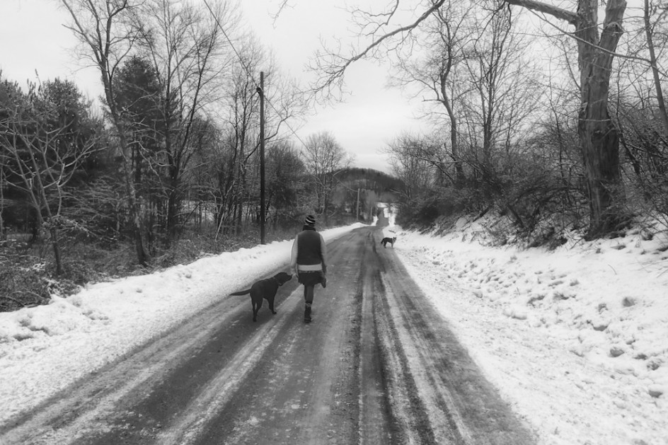 Training Lenore: Life With Dogs - Bedlam Farm