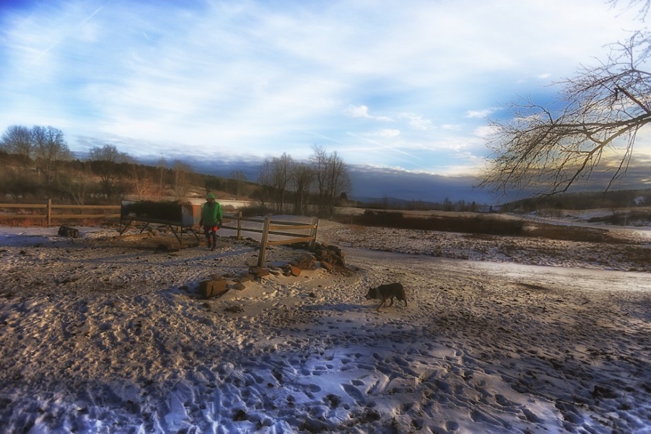 The Winter Pasture