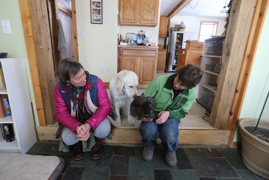 Meeting A Breeder