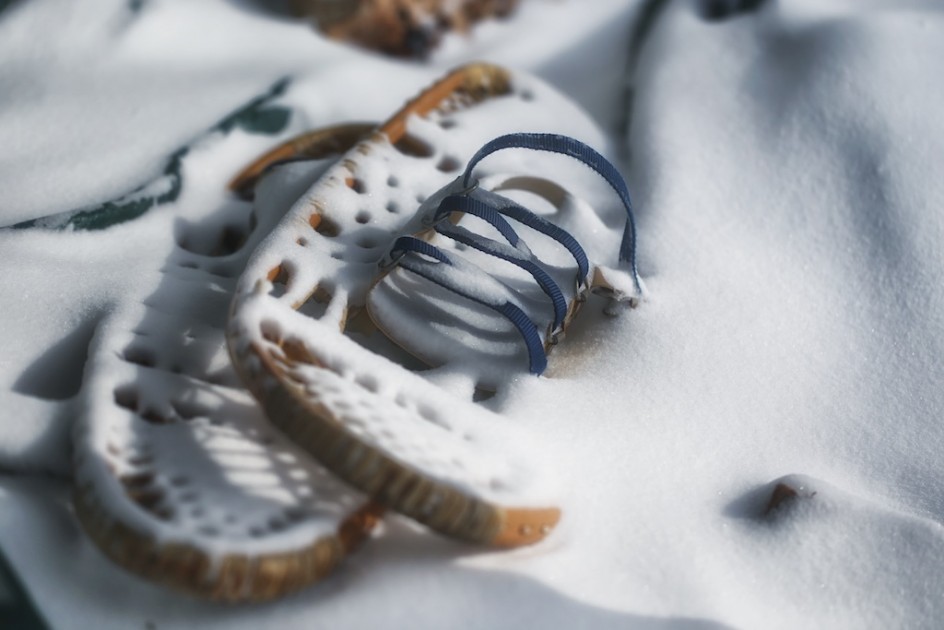 Snowshoes For The Snowshoes