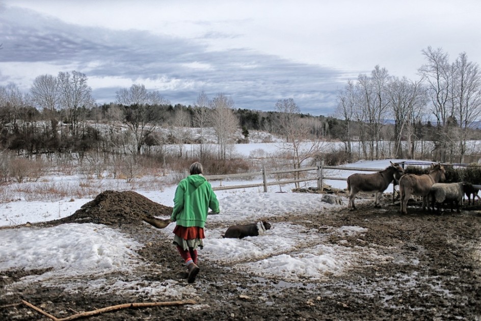 Back To Manure Mountain