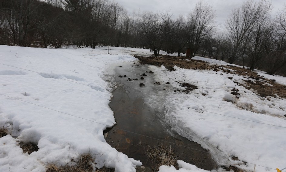 Frozen Stream