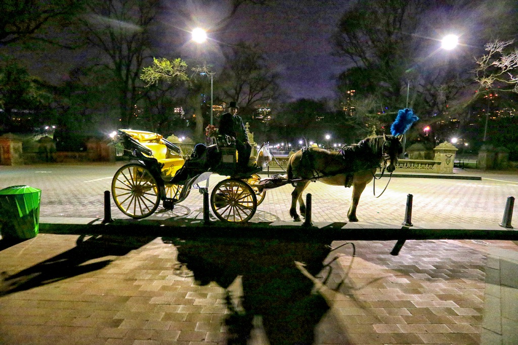 Ariel's Magical Midnight Ride - Bedlam Farm