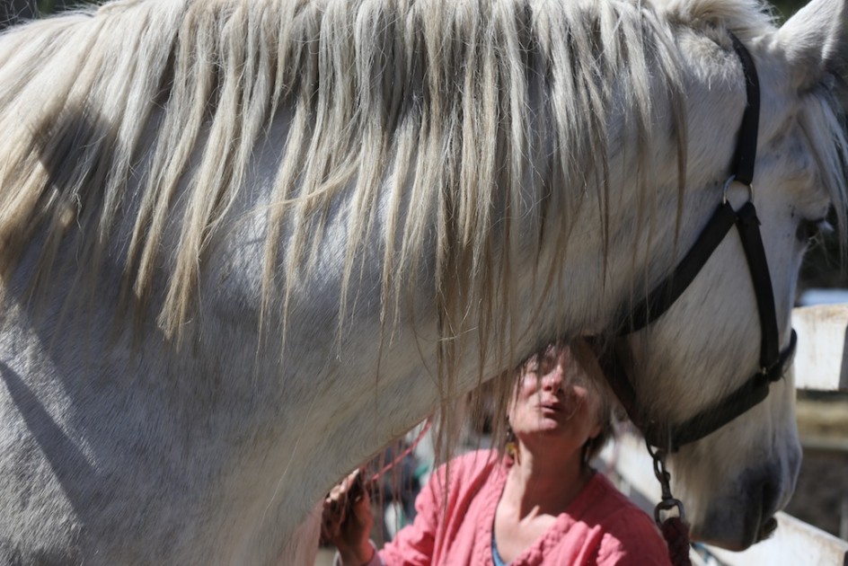 Talking To The Horses