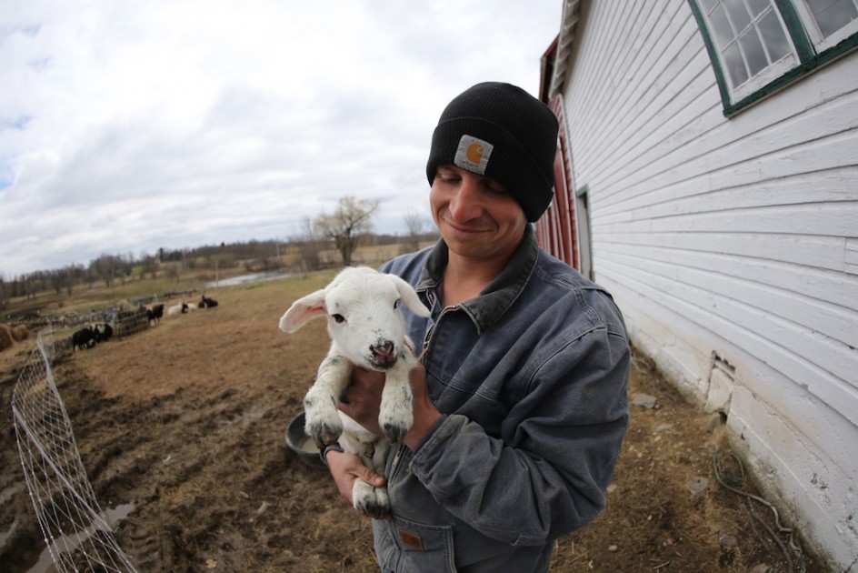 A Farm Geek Fights For His Farm