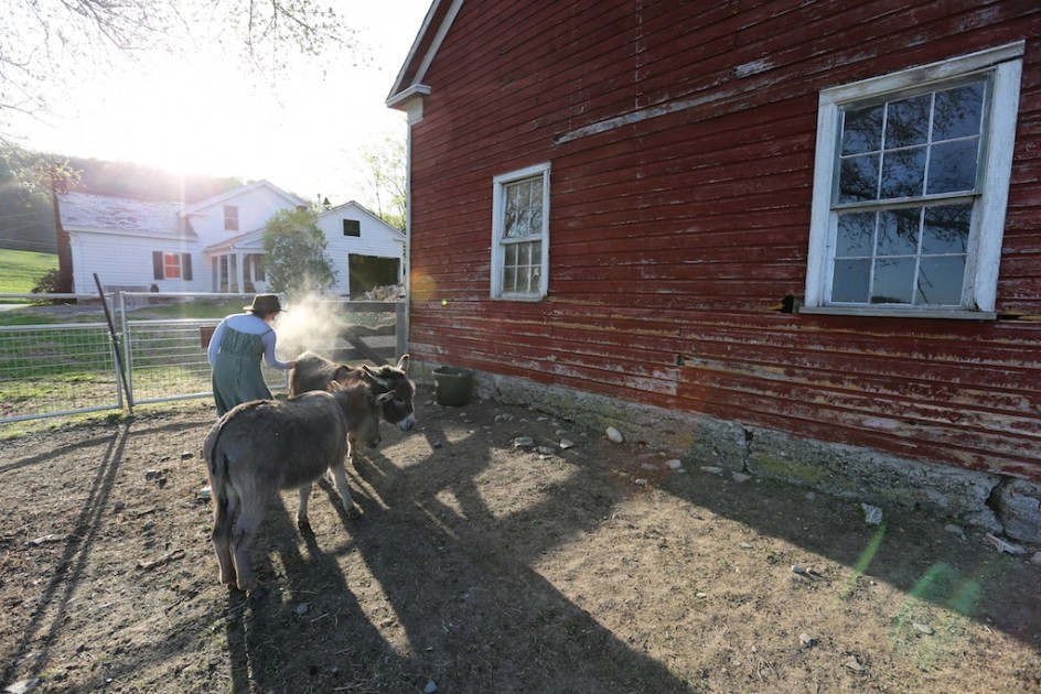 Home To Dusty Donkeys