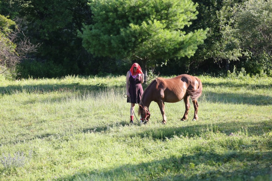 Artist And Pony In The Pasture