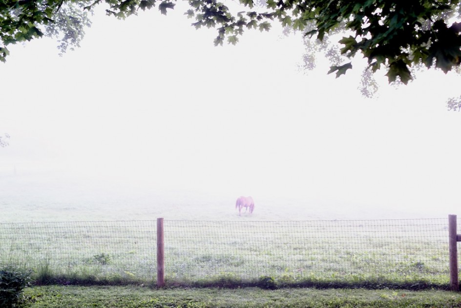 Mystical Landscape