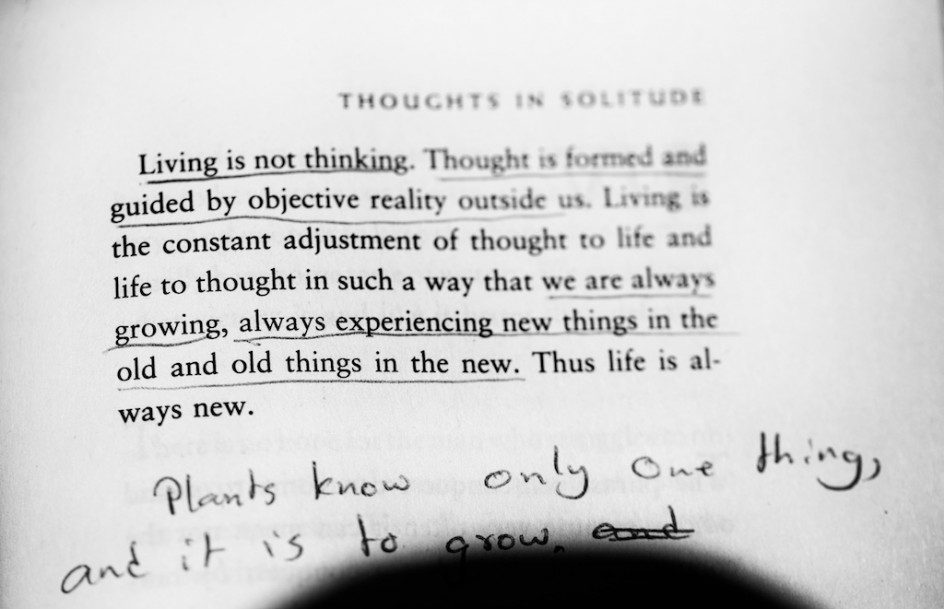 Living Is Not Thinking