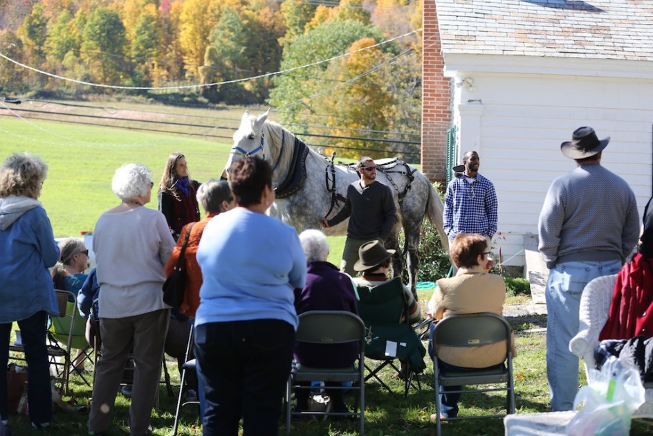 Draft Horse Workshop