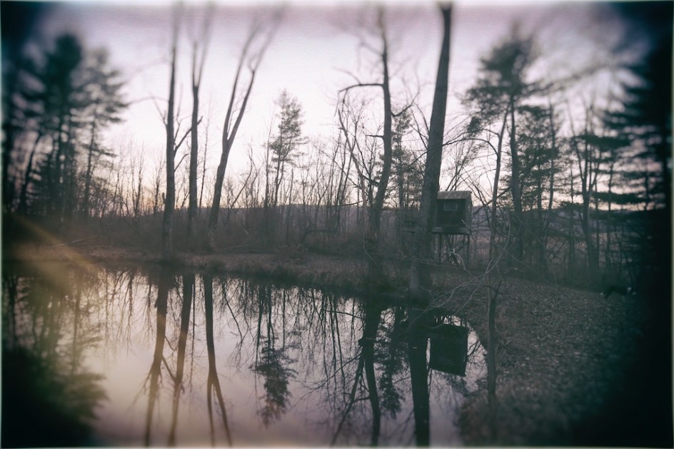 The Tree House In The Woods