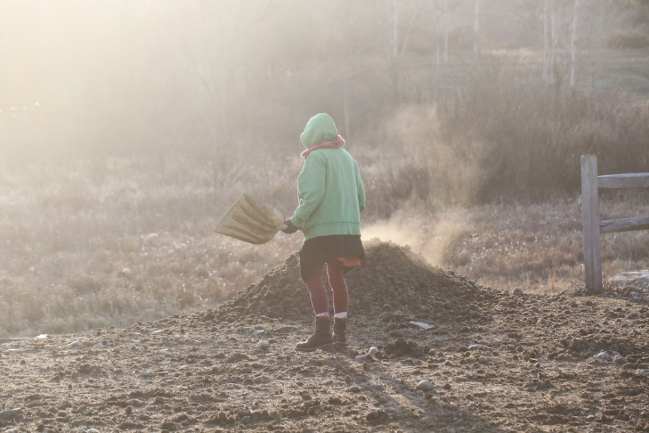 A Good Manure Pile